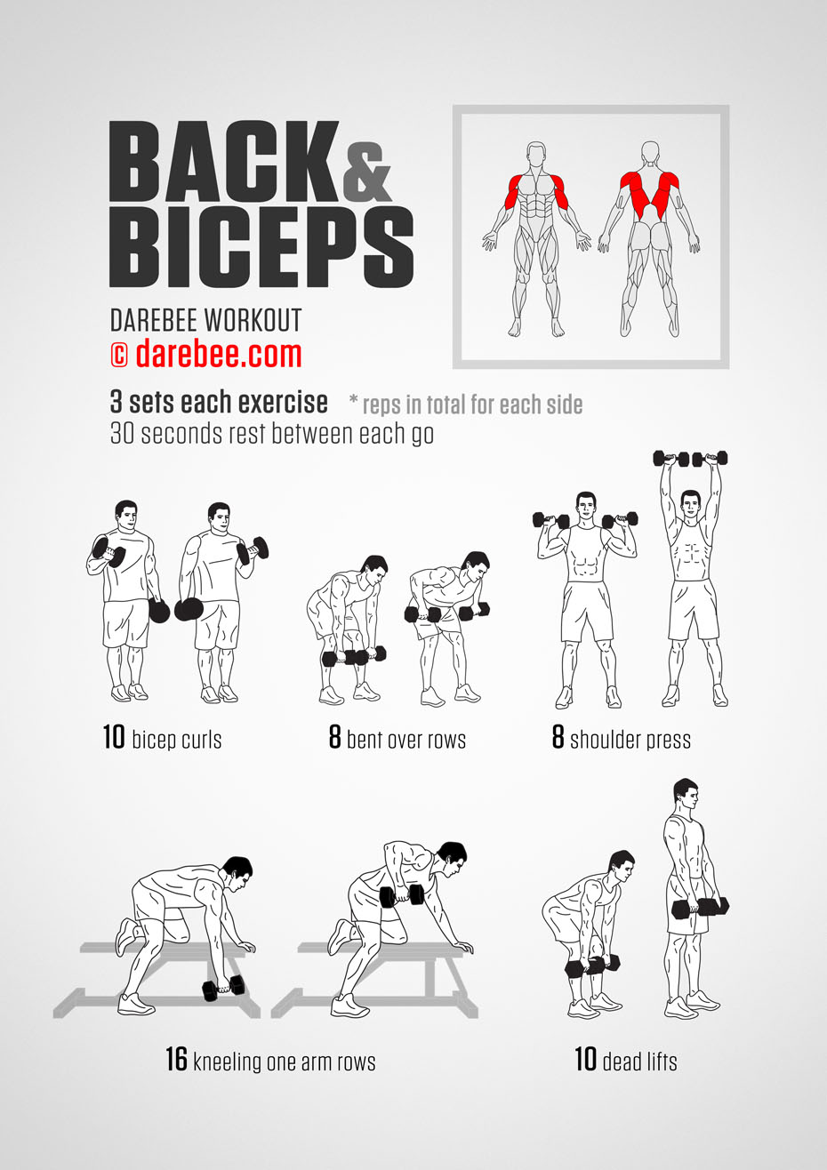Back and Biceps Workout