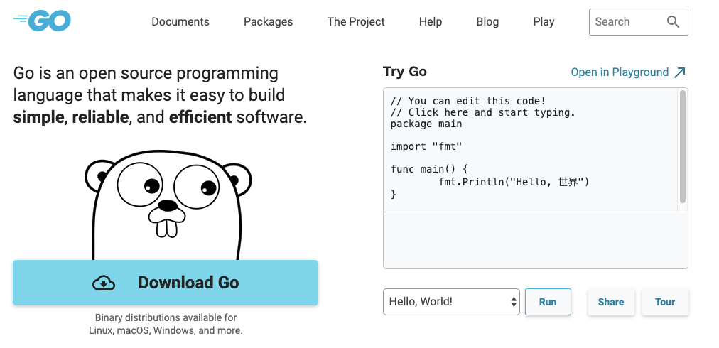 Install go on ubuntu