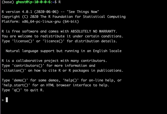 Install R-Project on Ubuntu 18.04